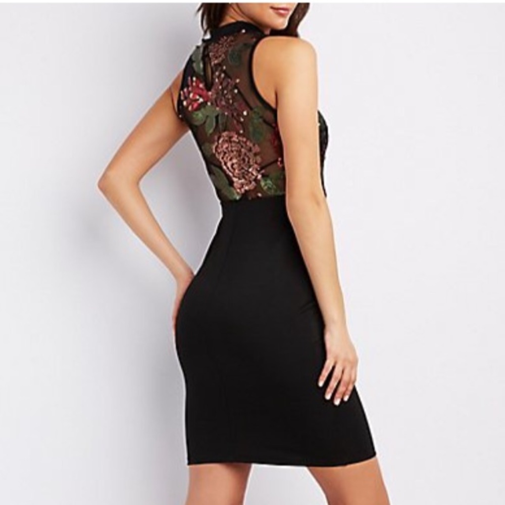 Sequin Embroidered Mesh Bodycon Dress